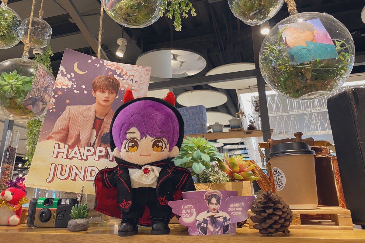 폼폼·͜· ♡ tweet media