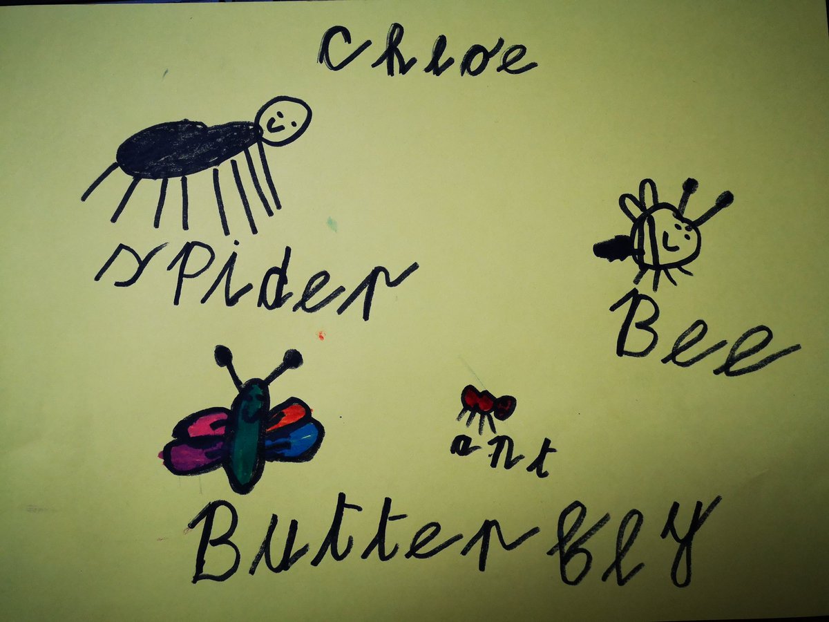 noelchb's tweet photo. @jns_san mini beasts by Chloe for Miss O'Dwyers Senior Infants 🦋🐜🐝 https://t.co/4bDZ1jOI1d