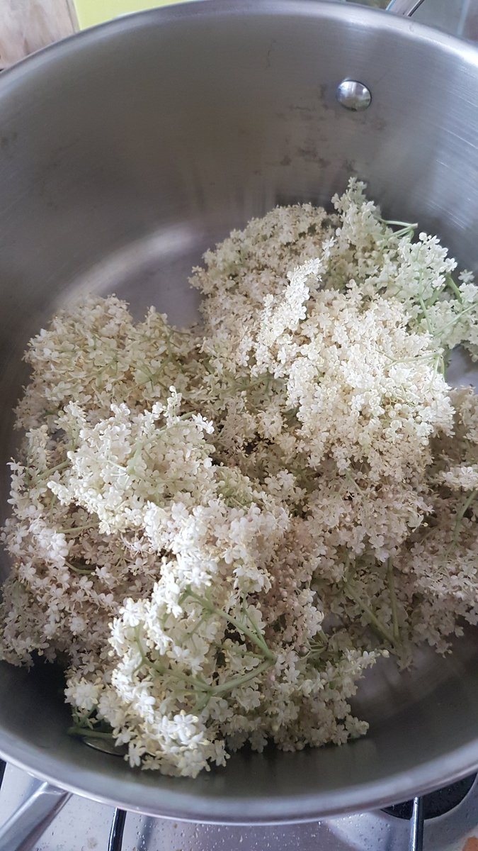 TheShitFoodBlog's tweet image. Elderflower cordial time.