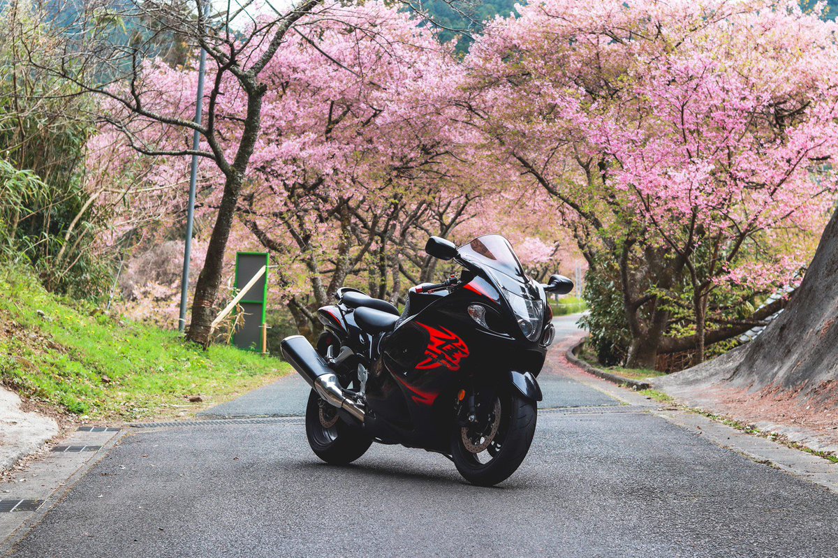 zeroGSX_1300R's tweet photo. #隼乗りはリツイートしてくれるらしい 
このタグ幸せ！！
隼がめちゃくちゃ見れる🥰 https://t.co/53hC11HORT