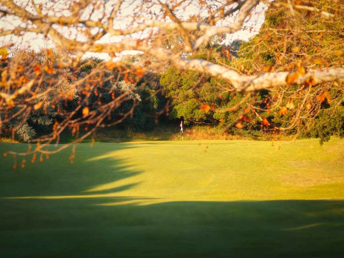 AdrianLogue's tweet photo. Golf in the big city at Moore Park. Few international cities of Sydney’s size boast public golf of this quality so close to the central business district. The first “proper course” that many golfers experience. A very influential course in Australian golf. https://t.co/BrWcElwLUe