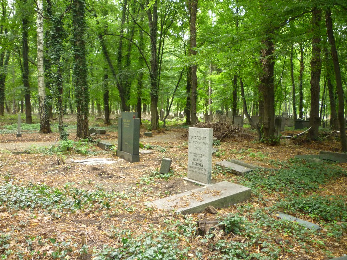 PTraces's tweet photo. #MyParallelTraces
This is the grave of Sigmund Baginsky in Wroclaw’s New Jewish Cemetery, established in 1902. It was neglected for years, overgrown, marked by broken headstones. Then it was restored and now it is still used by the local Jewish community.
https://t.co/4147rTtmCx https://t.co/JPy7yDHvdu