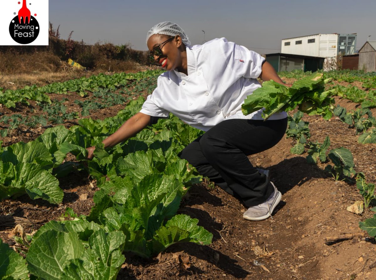 MovingFeast2's tweet photo. All our vegetables are fresh from the soil.
#GoGreen
#healthylifestyle https://t.co/SvVz4aTyMK