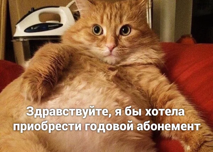 EaJNwUQWkAEUXGL?format=png&name=900x900