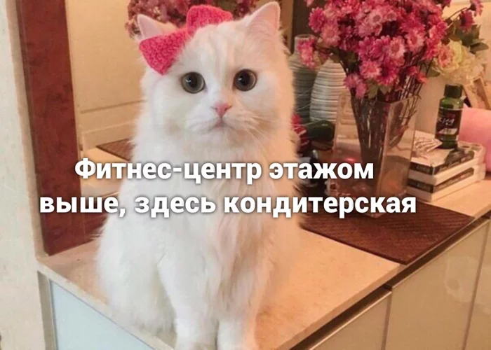 EaJNxr_WkAUyygc?format=png&name=900x900