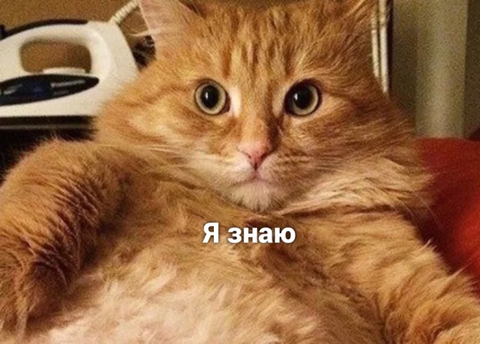 EaJNzKlXsAAQwJG?format=png&name=900x900