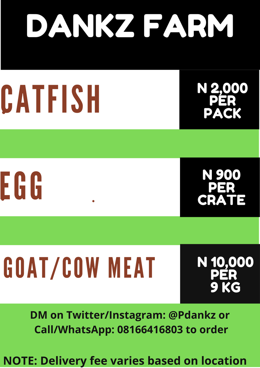 Pdankz's tweet photo. I sell catfish, eggs, cow meat/ goat meat (on special order)
Send a DM to order.
I also train individuals on how to start a catfish business https://t.co/2wOrR5FAzr