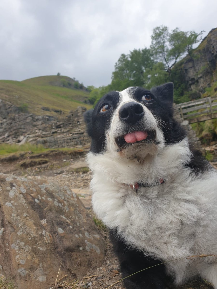 Angela Birleson EOTS tweet media