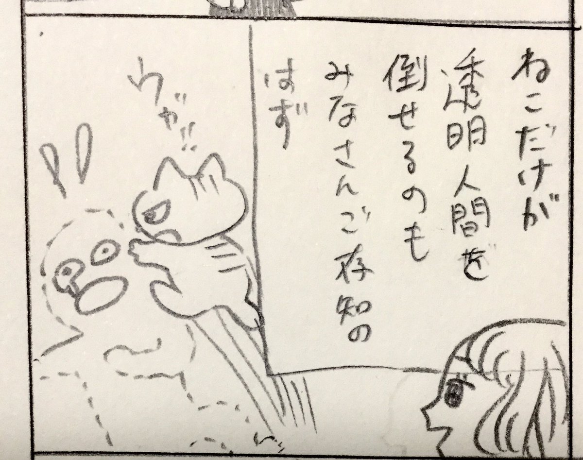 ねこと透明人間 