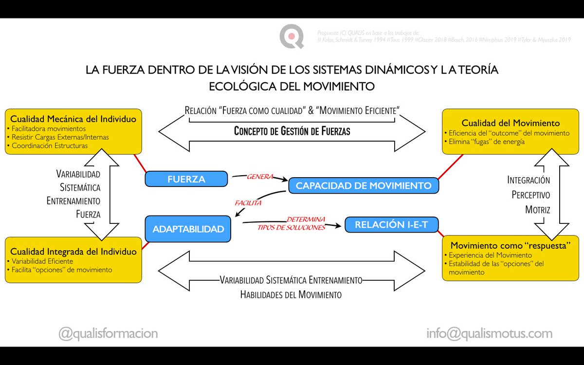 El concepto de "fuerza" es más amplio que una capacidad "cinética" y es necesario entenderlo desde la amplitud de miras.

Buscar la relación gym-realidad marca el modelo de trabajo a seguir.

La optimización del movimiento pasa por no verlo sólo como la capacidad cuantitativa.