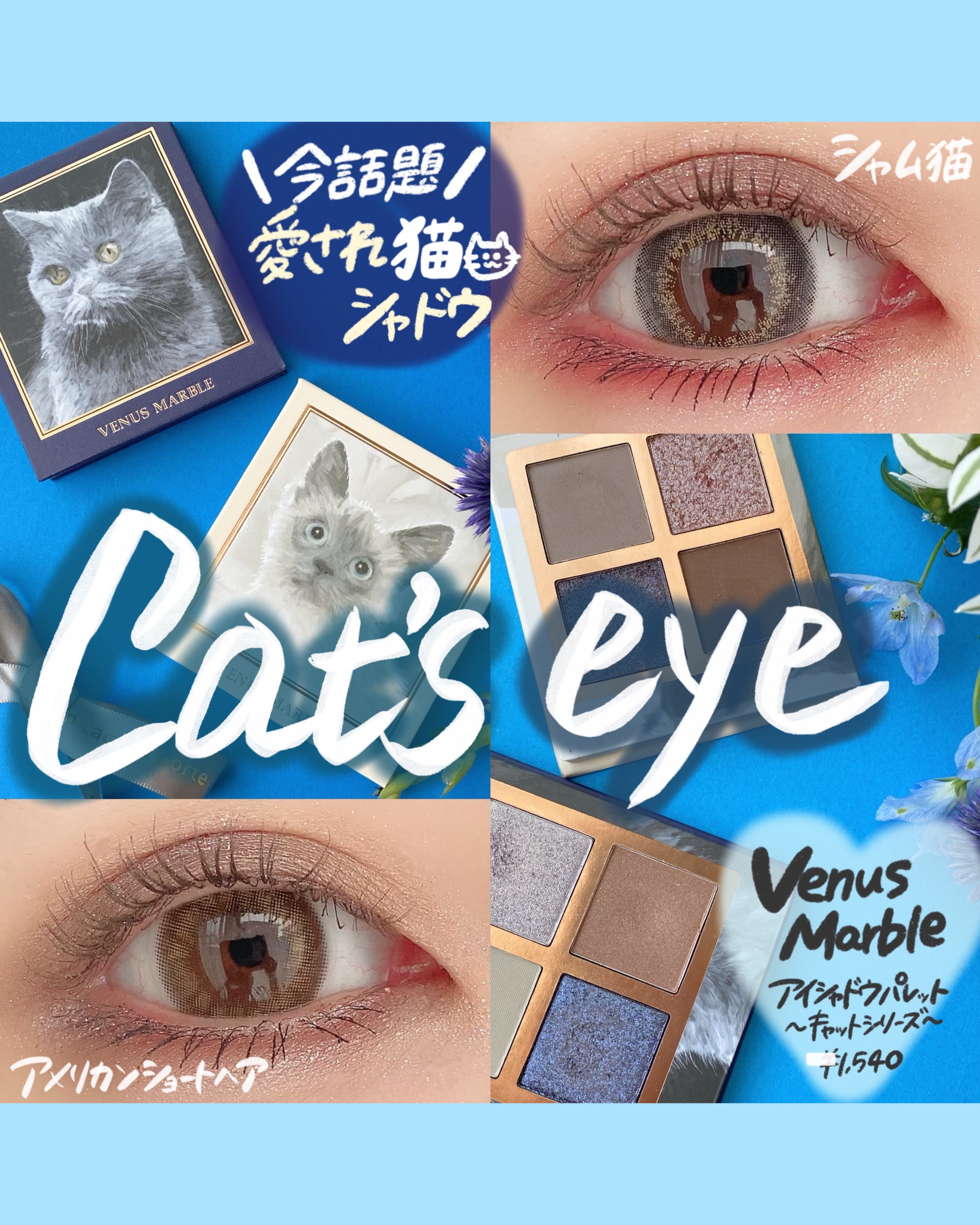 shabon《公式》 on X: 