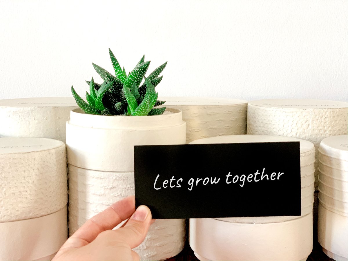 wanderpotsocial's tweet photo. A lovely way to reconnect with your clients. ππ
Send them beautiful, personalised plant gifts to brighten up their workday. π»π
#WanderPot #PlantGifts #CorporateGifts
#SupportLocalBusinessdubai #LoveDubai #DubaiPlants #DubaiJungle #MadeInDubai #GreenDubai https://t.co/W7Ywly55Rf