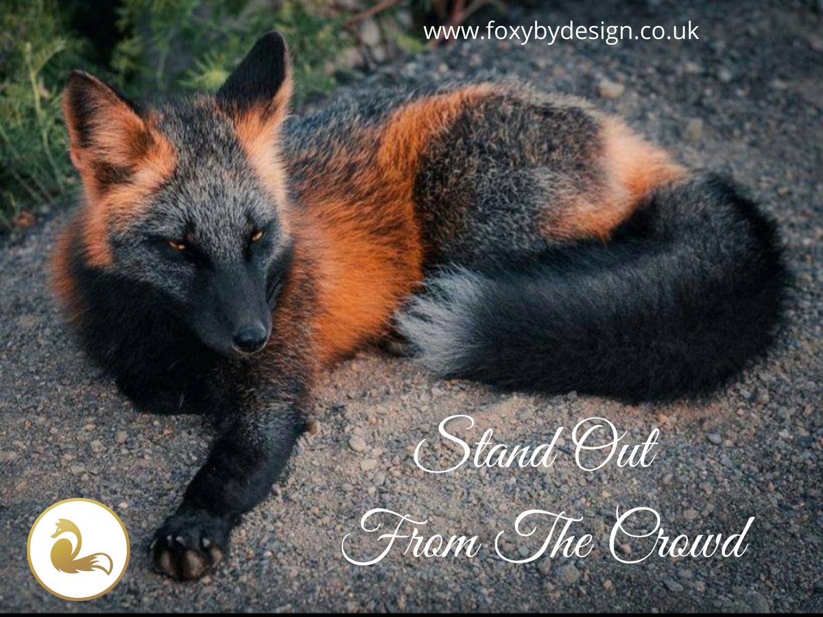 #foxybydesignuk #releaseyourinnervixen #standoutfromthecrowd #embraceyourbeauty #itsgoodtobedifferent #differentisbeautiful #womeninbusiness #supportsmalbusinesses