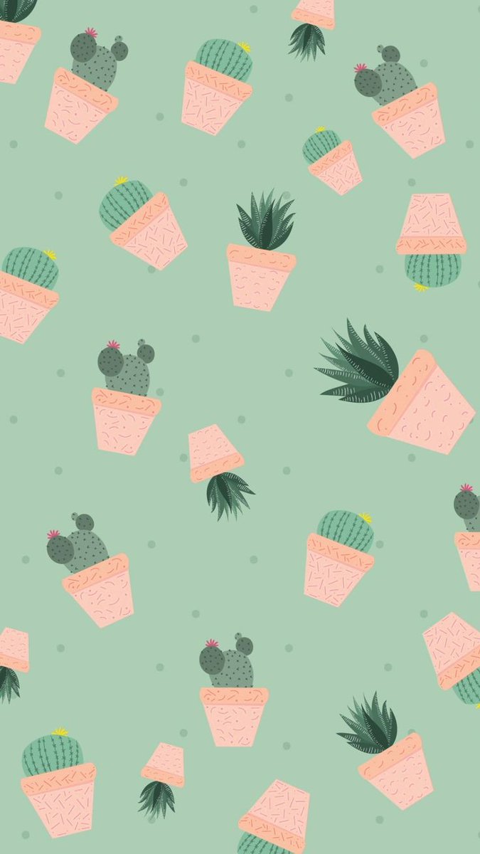 perfectwellp's tweet photo. • cactus addicted 🍃👽 https://t.co/4DqCLTgfQI