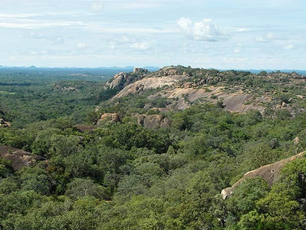 sanraysafaris's tweet photo. If you want to go on an authentic #vacation Bulawayo is definitely the best choice. 

#naturephotography #safari #beautiful #naturelovers #travelgram #traveler #Explore #wanderlust #tourism #natureishealing #travelblogger #beautiful #scenery https://t.co/Ap3PxCQSbb