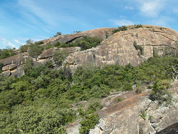 sanraysafaris's tweet photo. If you want to go on an authentic #vacation Bulawayo is definitely the best choice. 

#naturephotography #safari #beautiful #naturelovers #travelgram #traveler #Explore #wanderlust #tourism #natureishealing #travelblogger #beautiful #scenery https://t.co/Ap3PxCQSbb