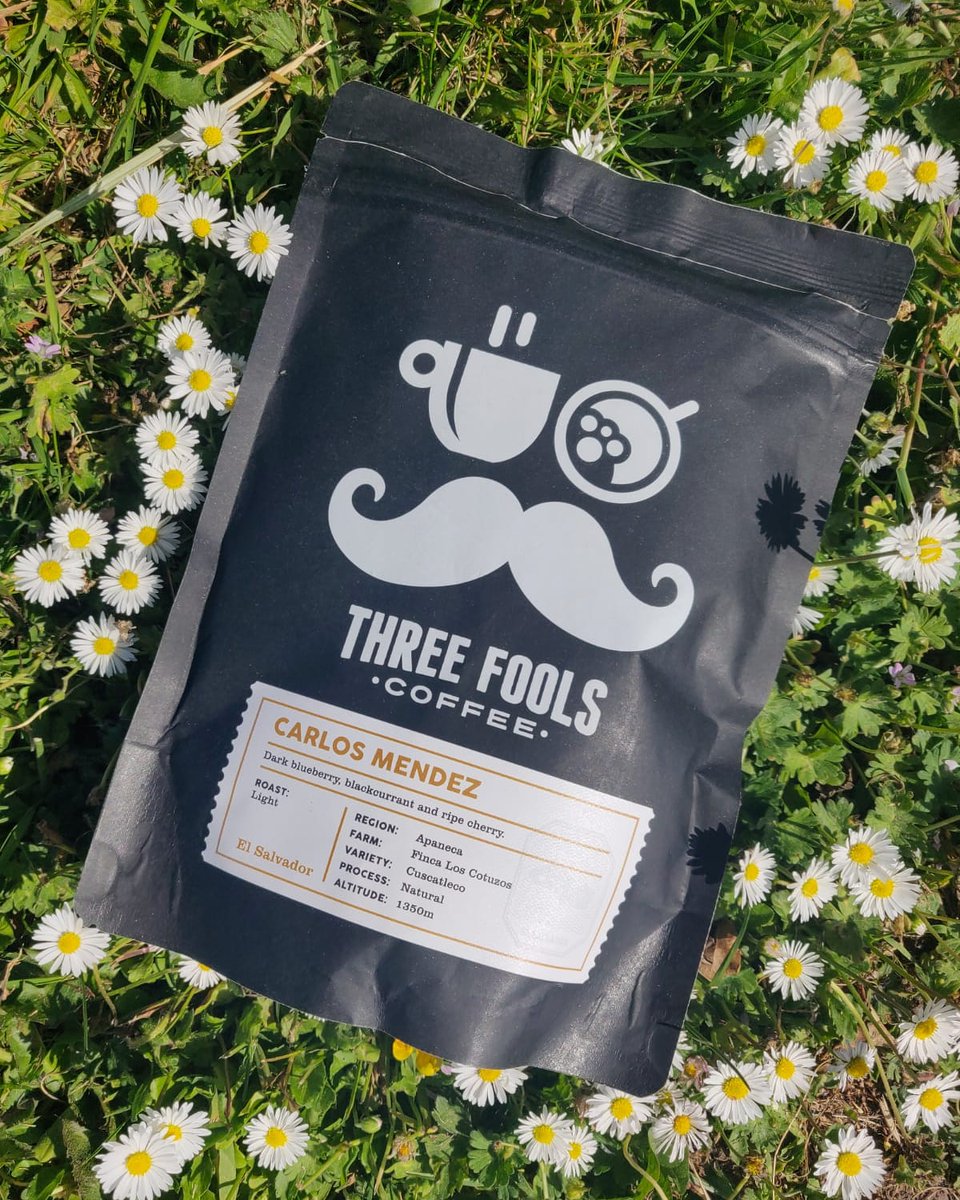 3FoolsCoffee's tweet image. The Amazing Carlos Mendez is now available in store &amp;amp; online ❤ #threefoolscoffee