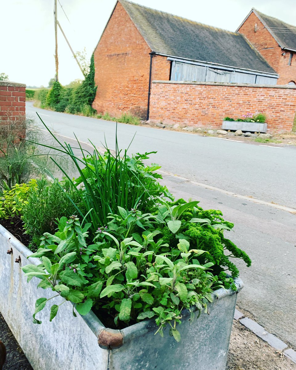 calverhall_in_bloom tweet media