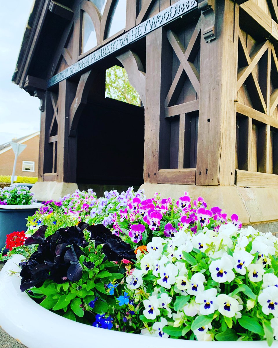 calverhall_in_bloom tweet media