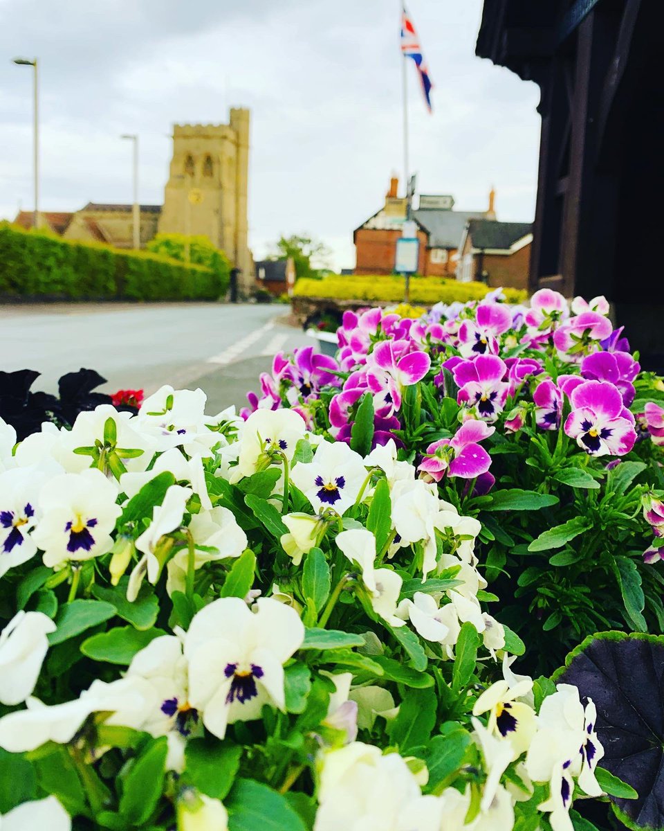 calverhall_in_bloom tweet media