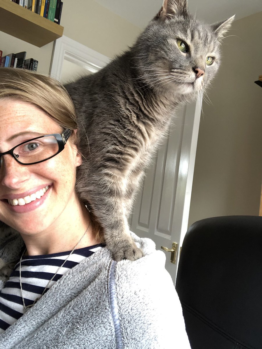 NicolaTallis's tweet image. Looks like it’s going to be that kind of working Wednesday, Ruby’s having none of it! 🐈 #tryingtowrite