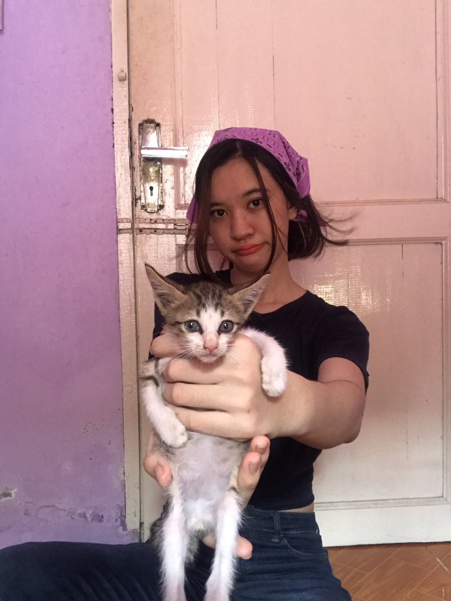 no cat is harmed here