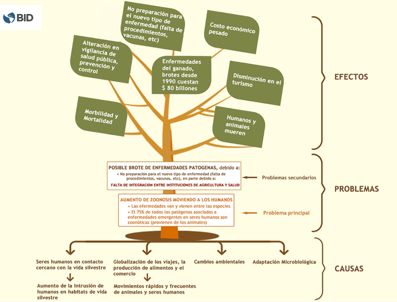 el_BID's tweet photo. ¿Conoces el árbol de los problemas? Aprende cómo tomar decisiones a partir de datos en nuestro #cursogratis en línea: https://t.co/rrPxGkq5T7 #YoAprendoenCasa https://t.co/TrGa7ZxGle
