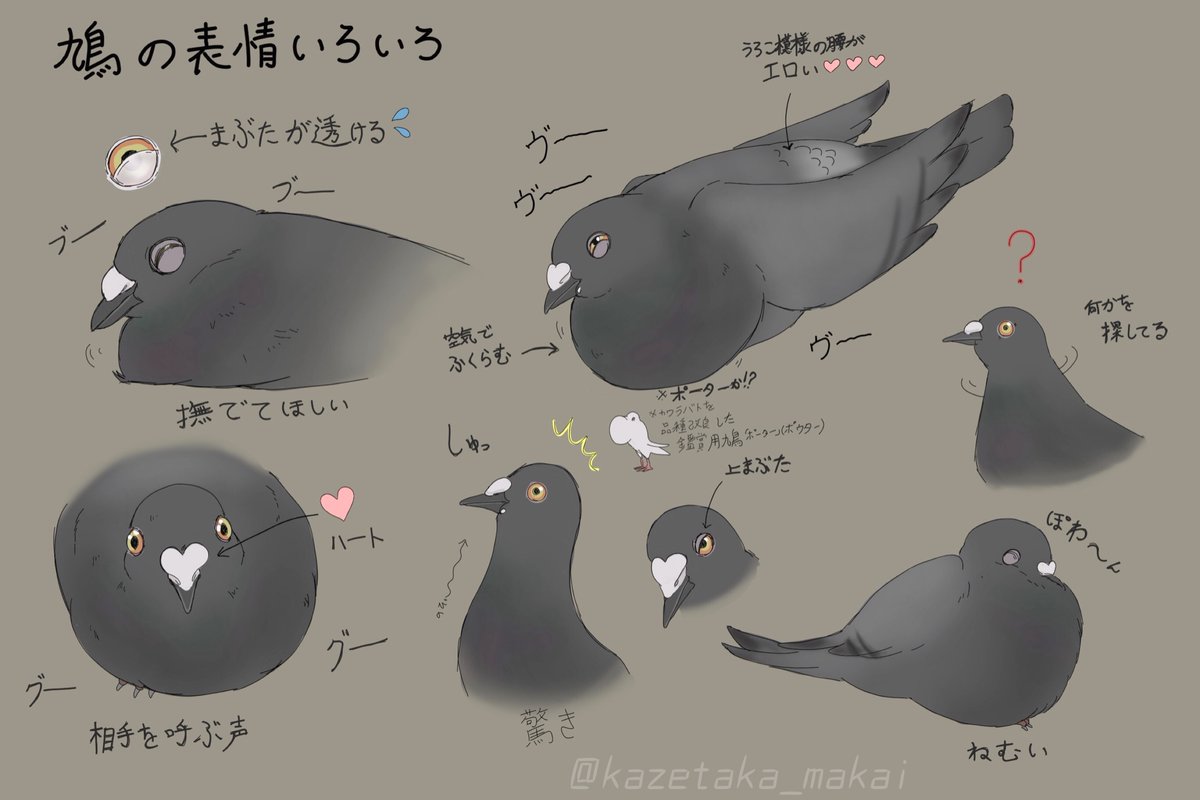 風鷹3 7アーティズムマーケット出展 Twitterissa 鳩好きさんに届いて欲しい 完全室内飼い手乗りレース鳩 うちの愛 鳩イラスト4枚まとめ モーメント作りました 観賞鳩情報 鳩関連のツイート載せています 剥製アクセ 標本の写真も含みます 風鷹3 7アーティズムマーケット出展 Twitterissa 鳩好きさんに届いて欲しい 完全室内飼い手乗りレース鳩 うちの愛 鳩イラスト4枚まとめ モーメント作りました 観賞鳩情報 鳩関連のツイート載せています 剥製アクセ 標本の写真も含みます