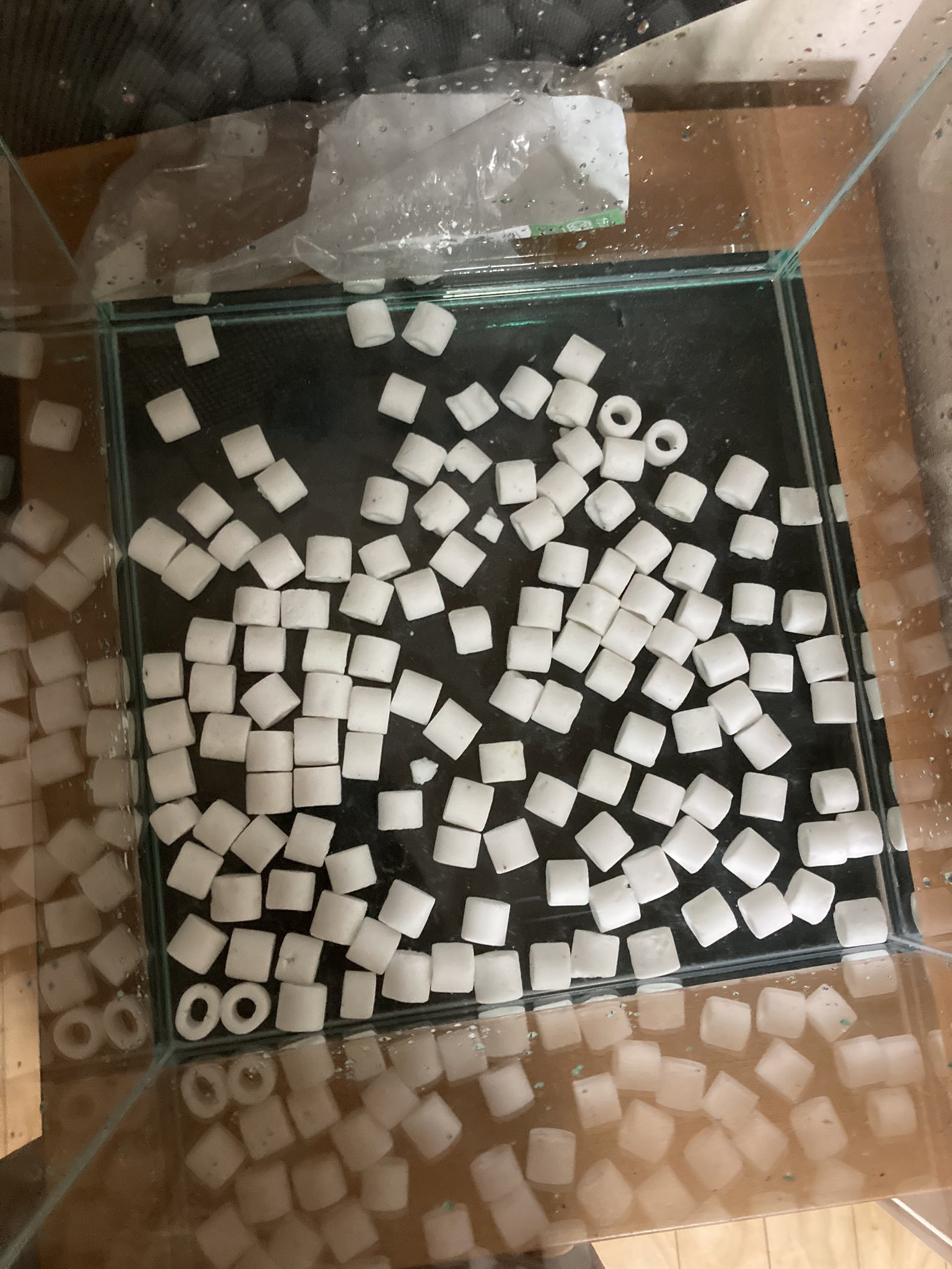 ぴろし アクア 底面濾過にチャレンジ リングろ材 猫避け 鉢底ネット Gexボトムフィルター 鉢底ネット ソイル入れようと思ったら足りず 作業中断 T Co 1pia1mqf4k Twitter ぴろし アクア 底面濾過にチャレンジ リングろ材 猫避け 鉢底ネット Gexボトムフィルター 鉢底ネット ソイル入れようと思ったら足りず 作業中断 T Co 1pia1mqf4k Twitter