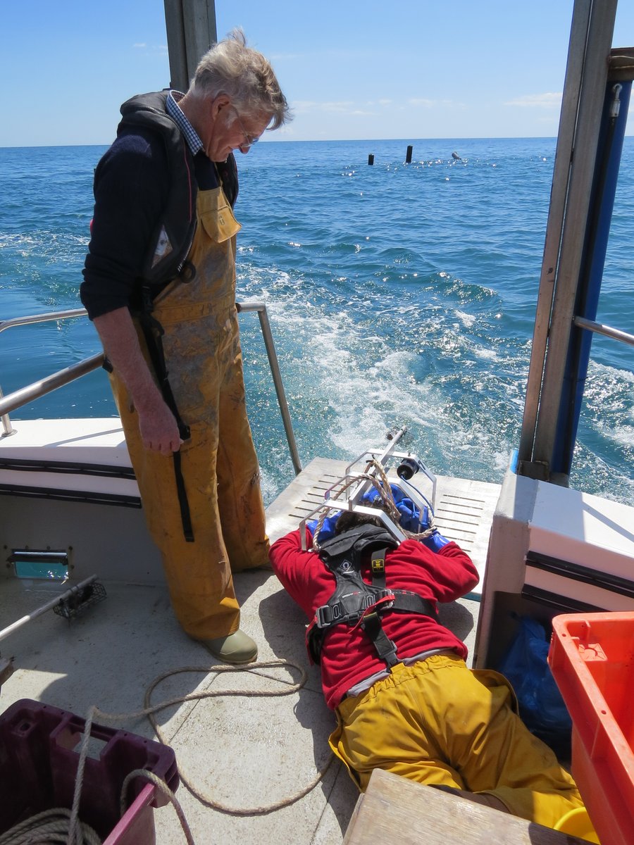 Emma Sheehan (@dr_emma_sheehan) on Twitter photo New book Place-Based Learning for the Plate, lead by <a href="/PlymUni/">University of Plymouth</a> <a href="/AlunMorgan65/">Alun Morgan</a> we contributed a chapter (with Lyme Bay skippers John Walker & <a href="/GScallops/">Golden Scallops</a> and <a href="/Bluemarinef/">Blue Marine Foundation</a>) about the educational value of fisher-scientist partnerships and the boat classroom! link.springer.com/chapter/10.100… New book Place-Based Learning for the Plate, lead by <a href="/PlymUni/">University of Plymouth</a> <a href="/AlunMorgan65/">Alun Morgan</a> we contributed a chapter (with Lyme Bay skippers John Walker & <a href="/GScallops/">Golden Scallops</a> and <a href="/Bluemarinef/">Blue Marine Foundation</a>) about the educational value of fisher-scientist partnerships and the boat classroom! link.springer.com/chapter/10.100…