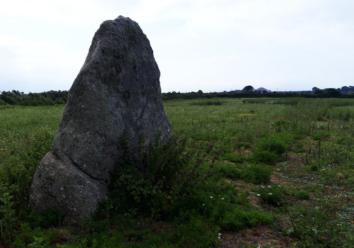 Kerris Standing Stone is a big triangular slab of granite just a couple of fields from Tresvennack Pillar (above). There are a few good stones around the St Buryan/Paul/Lamorna area that get a little overlooked. I'll try and visit a few this Summer. #PrehistoryOfPenwith