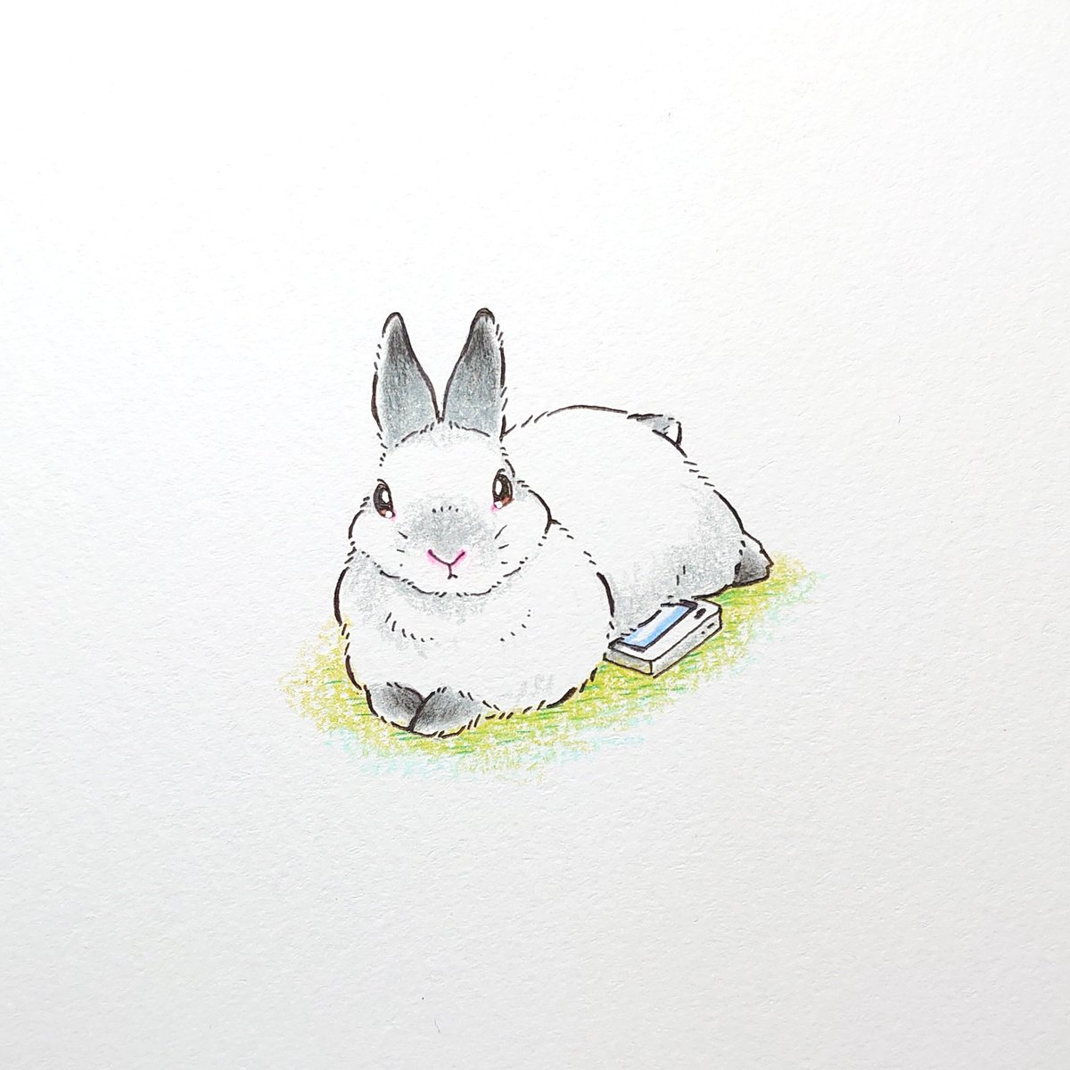 「飼い主ってさ～

いつもいつもTwitter見てるの

だから

スマホ隠しちゃ」|VeryBerry うさぎ星さん4/8-9出展のイラスト