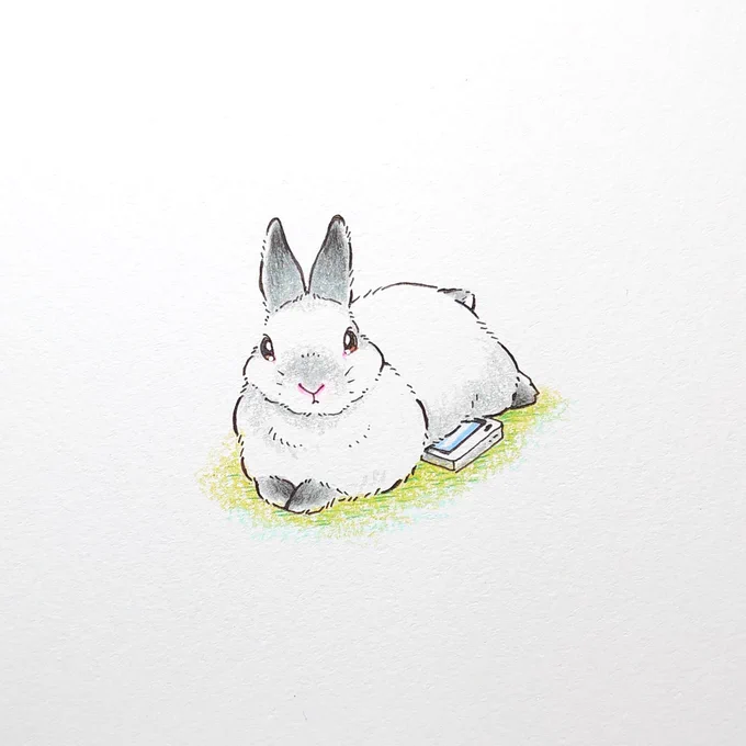 飼い主ってさ～

いつもいつもTwitter見てるの

だから

スマホ隠しちゃおー! 