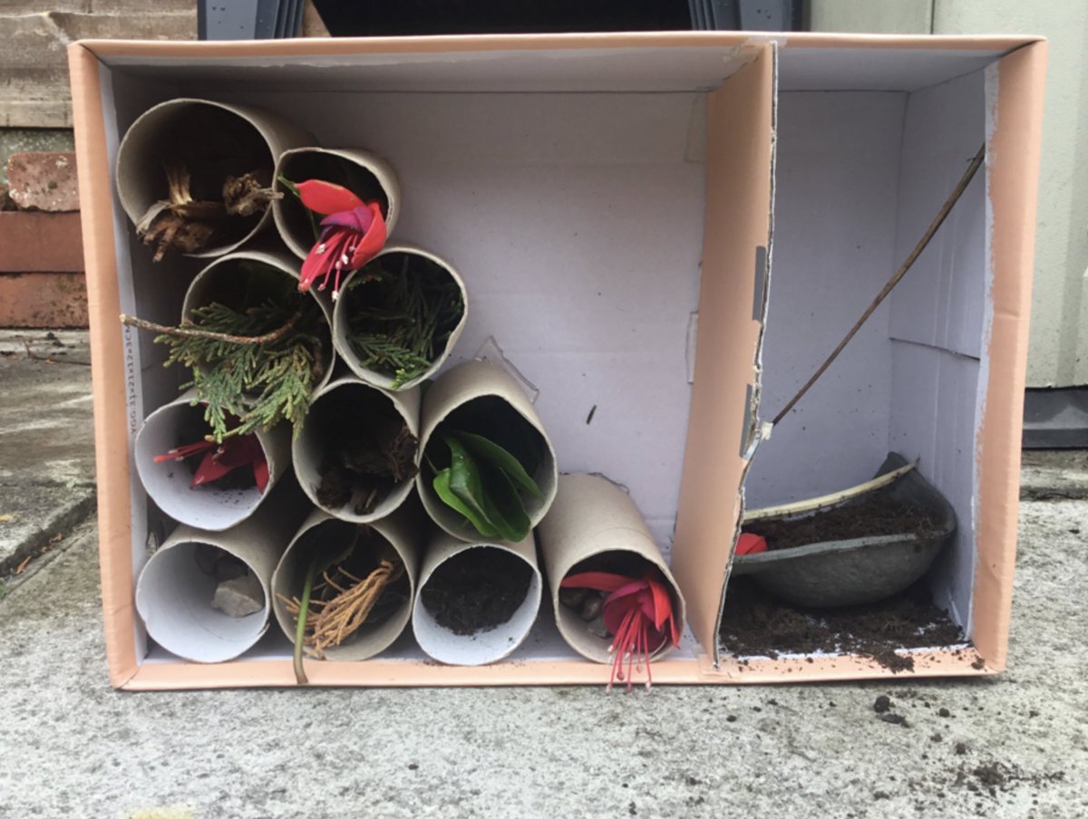 Michelle Walsh (@shell_walsh235) on Twitter photo Olivia has made a fantastic bug hotel this morning. Letβs hope she gets lots of visitors. ππππ· #creativeweek <a href="/Year6_Layton/">Year6_Layton</a> <a href="/OliviaDomics/">Olivia Domics πΌ #TVTTagTeam</a> @LaurenKilleen93 Olivia has made a fantastic bug hotel this morning. Letβs hope she gets lots of visitors. ππππ· #creativeweek <a href="/Year6_Layton/">Year6_Layton</a> <a href="/OliviaDomics/">Olivia Domics πΌ #TVTTagTeam</a> @LaurenKilleen93