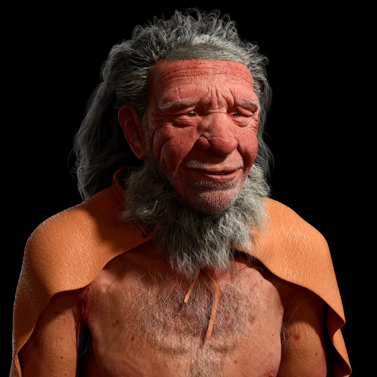 I am going to leave this guy like this, probably I will get back to him and add more details, especially after more study's! I will start a new project and I think I will record it for youtube. 
#zbrush #ornatrix #ephere #study #3dsmax #3dmodel #sculpting #vray #neanderthal
