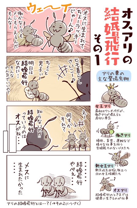 スズメバチの女王蜂は 蜜蜂のロイヤルゼリーのような特別な餌で育つのですか Quora