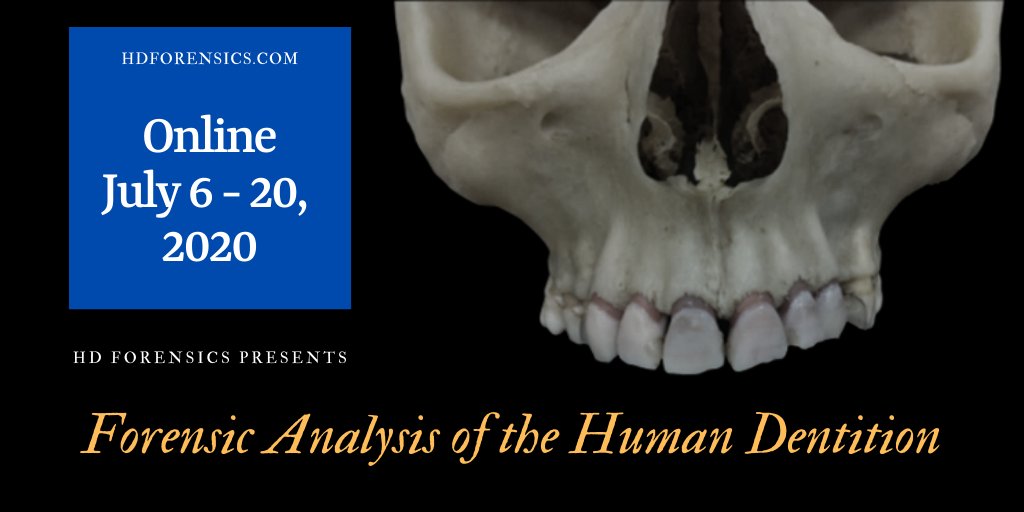 forensics_hd's tweet photo. HD Forensics is excited to offer a new course! Forensic Analysis of the Human Dentition will be offered this July - check out https://t.co/yaoQ44ZoCJ for details and to register! #forensicanthropology #onlinelearning #Anthropology #odontology #forensic https://t.co/bOR7hhGLFs
