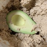 ぬか漬けにしたアボカドが？めちゃくちゃ美味しかったw