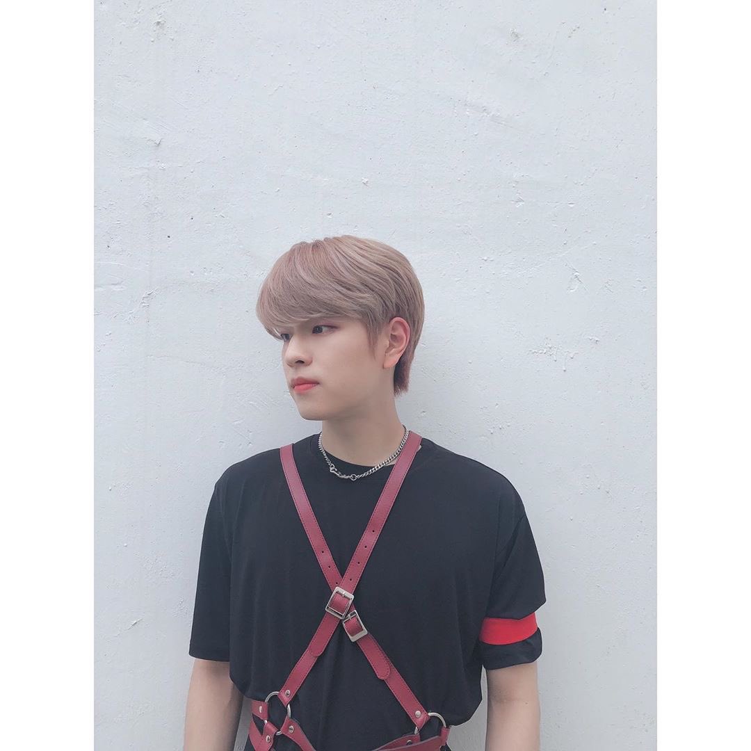 straykidsempire's tweet photo. [200610] ▫️ Stray Kids Instagram Güncellemesi

“FSKZ son sezon!!!! ✌️
⠀
#SeungStagram #FindingStrayKids” https://t.co/zspyDLzo3k