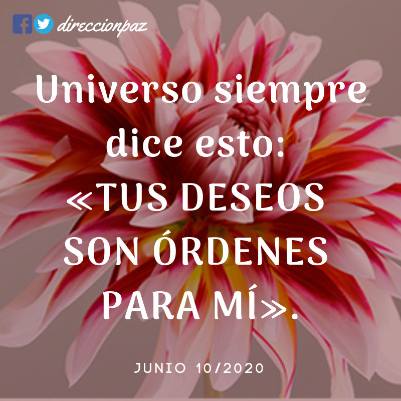 DireccionPaz's tweet photo. ¡Sí! 🙂❤️ https://t.co/tCtLG8nB6b