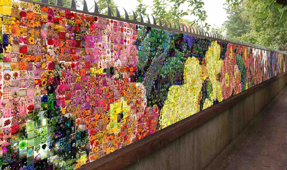 Help het Flower Art Museum en AlexP met de Wall of Flowers en draag bij aan de realisatie van dit unieke kunstproject van 10.000 bloemenfoto's.

bit.ly/3hdO2j9

@FlowerArtMuseum #Flowers #art #crowdfunding