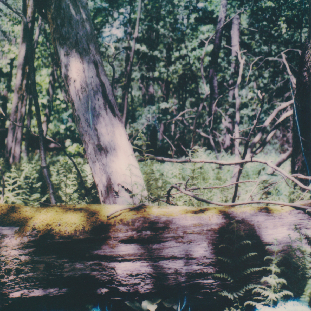 New Video Post: abdiassadi.com/videos/body-mi…