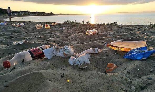 PAP_Charity's tweet photo. World Ocean Day- let us all take a moment and think about the beautiful sea and all the marine life that brings to much peace and blessings to us and how we are repaying back the nature.
Think! Act ! Save
Let us all be part of the solutions!
#Ocean #water #Biodiversity #PPAAP_ https://t.co/RB4khPF95s