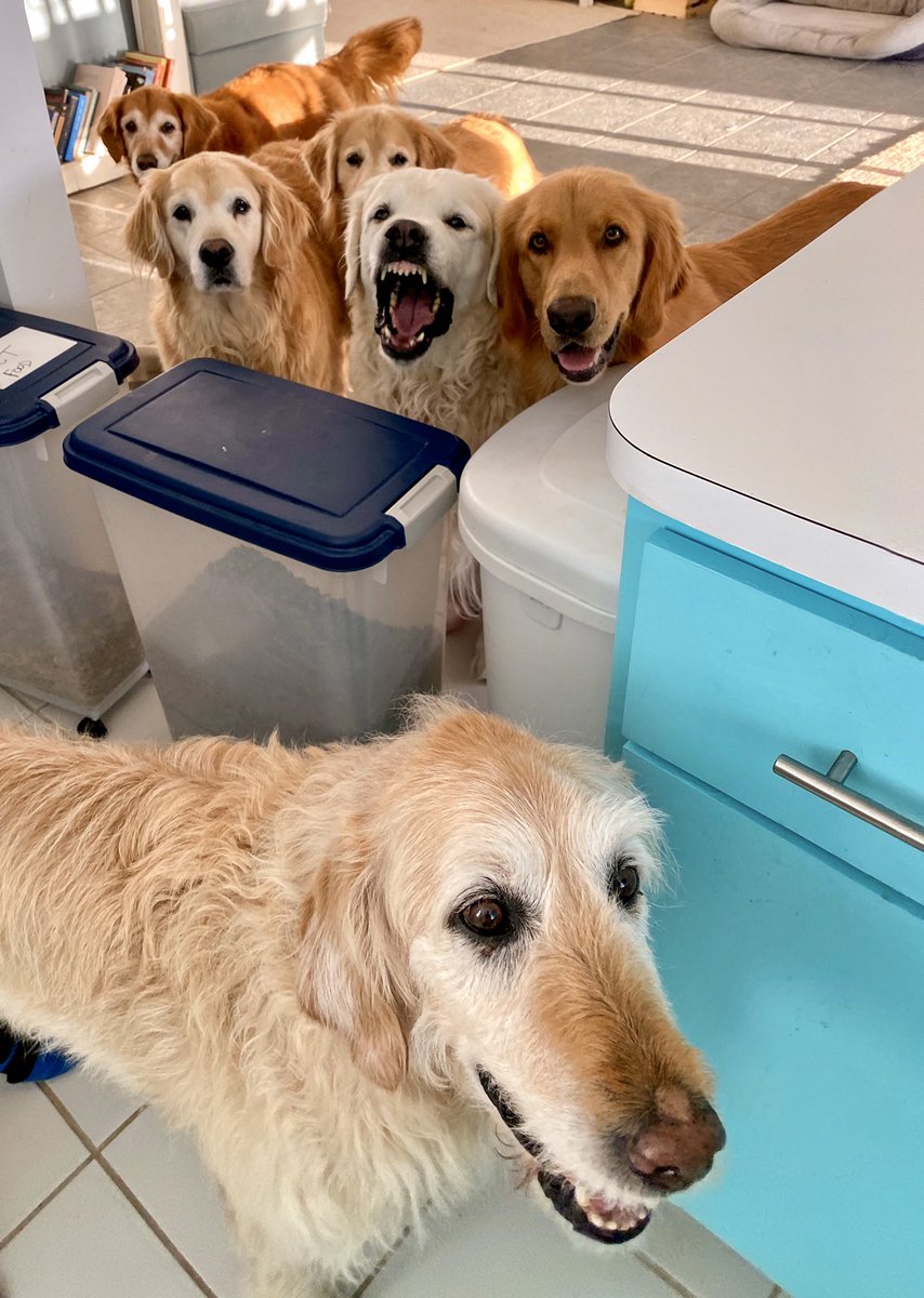 The Golden Ratio tweet media