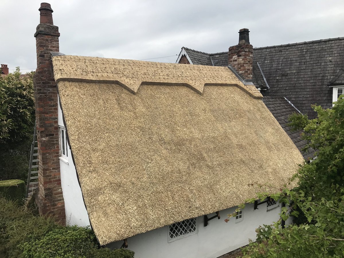 Master Thatchers Ltd tweet media