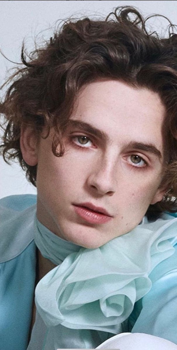 Timothée Chalamet: Medium Length Curly Hairstyle