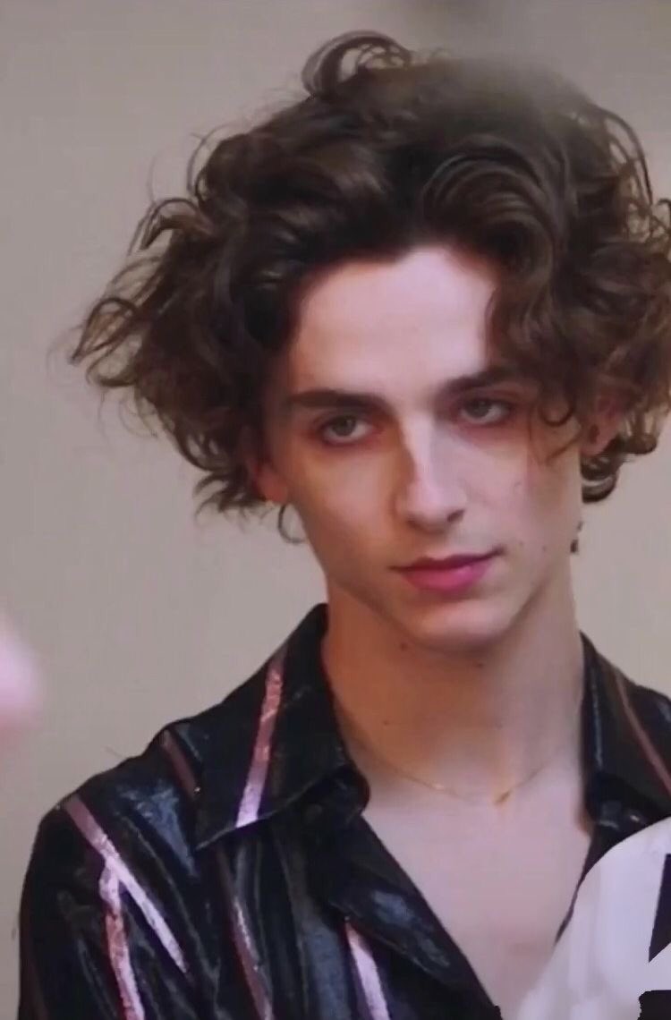 How to Get Timothée Chalamet Hair: A Step-by-Step Guide