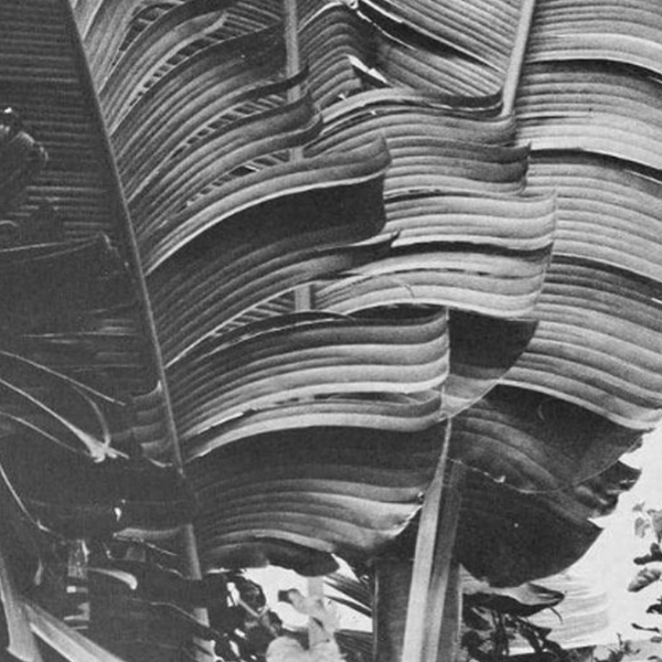 #BLACKLIVESMATTER - Ive listed educational resources and charities here: linktr.ee/fionajanemusic

#BLM List of Resources &amp; Charities
#BLM Support Black Lives in the UK
#BLM Anti-Racism Reading List
#BLM List of Resistance Funds