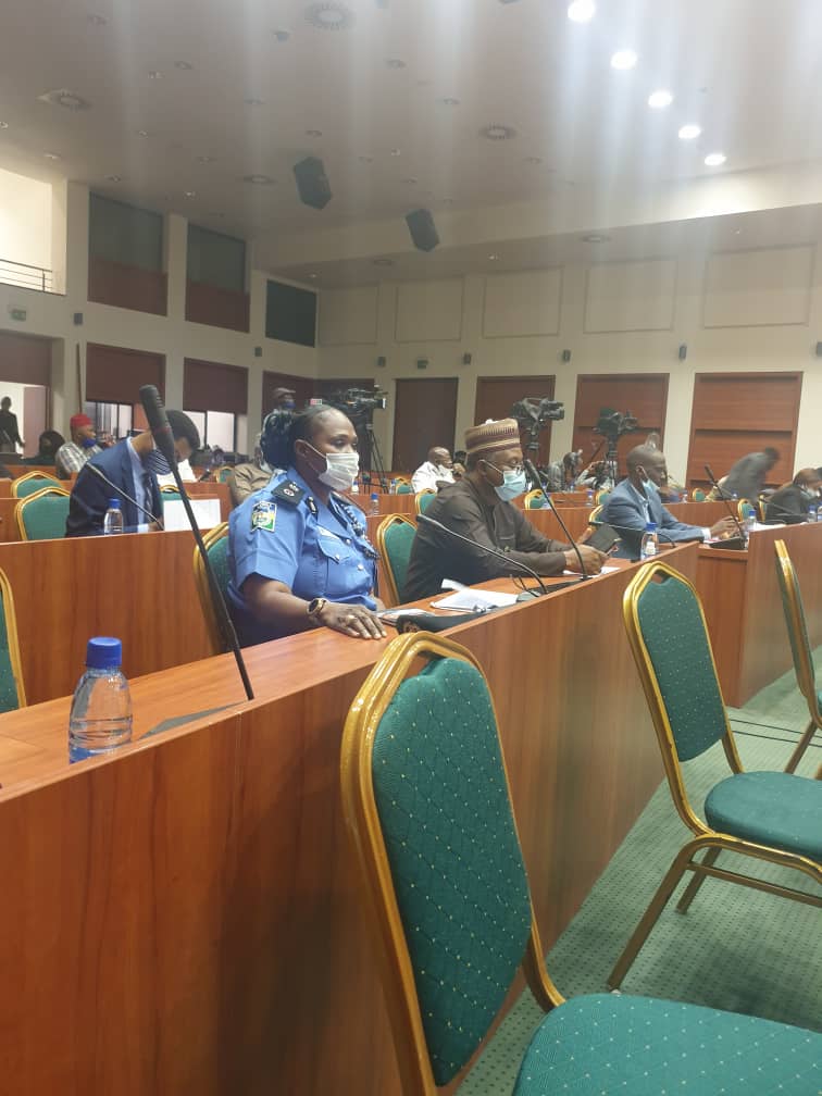 VetCouncilNig's tweet photo. The infectious disease bill public hearing started today. As expected the President of the Council was present https://t.co/6ggJgdduYI