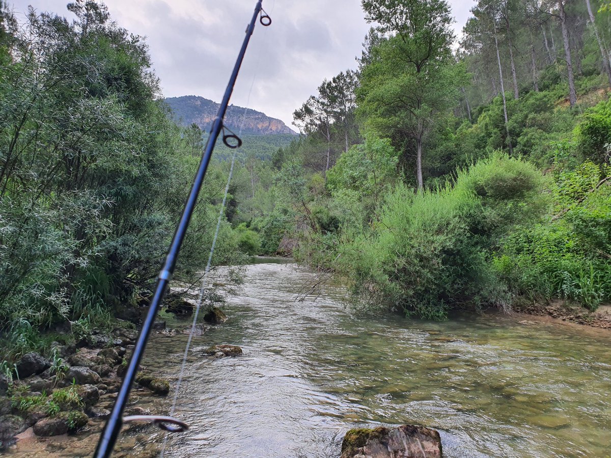 Pesca deportiva en Santiago-Pontones, Sierra de Segura (Jaén)
#santiagopontones #riosegura #pescasinmuerte